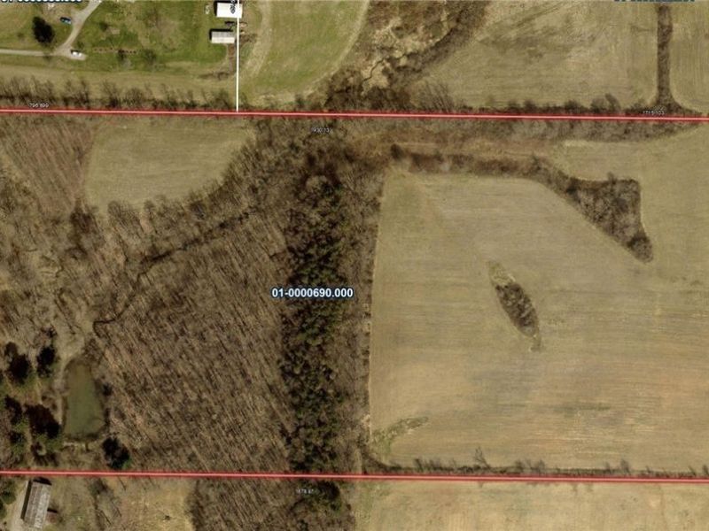 8008 Reef Road NE, Mechanicstown, OH 44651 Photo 9