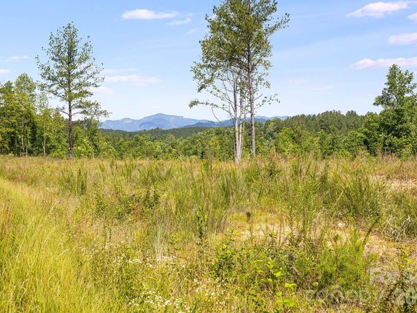 Lot #2 Clark Road, Rutherfordton, NC 28139
