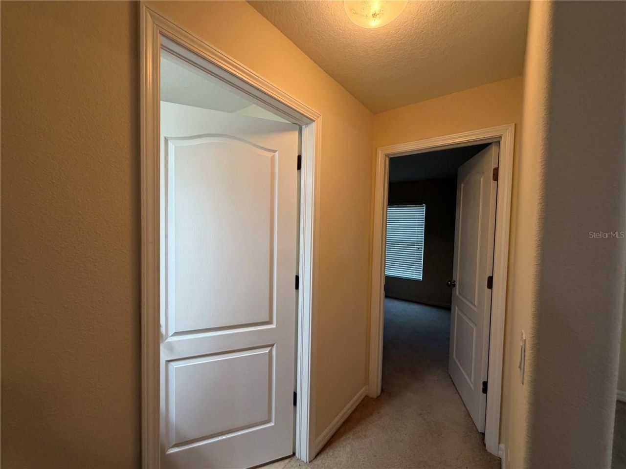 7538 Turtle View Drive , Sun City Center, FL 33573 Photo