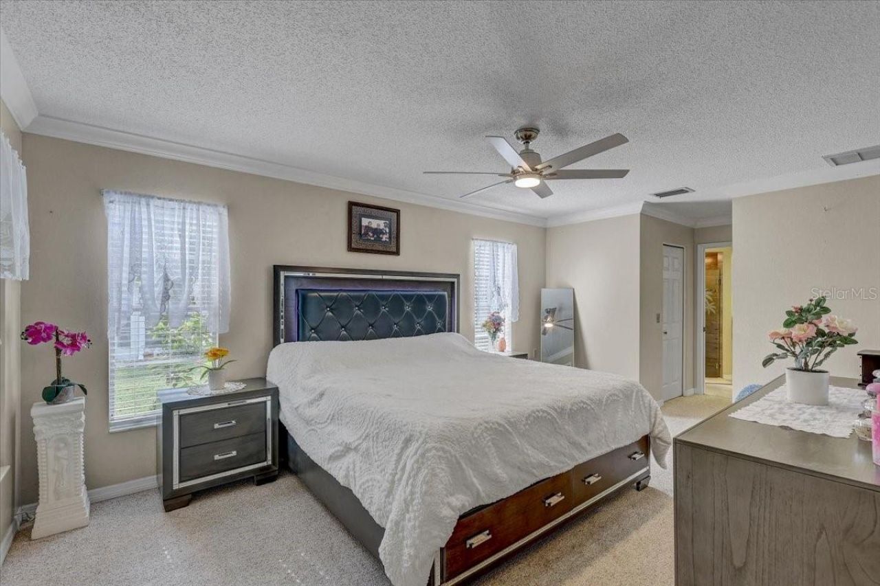 9909 Saint Joseph Court , New Port Richey, FL 34655 Photo