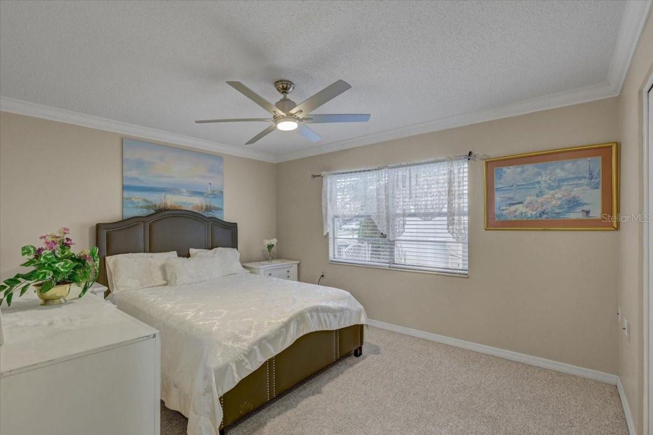 9909 Saint Joseph Court , New Port Richey, FL 34655 Photo