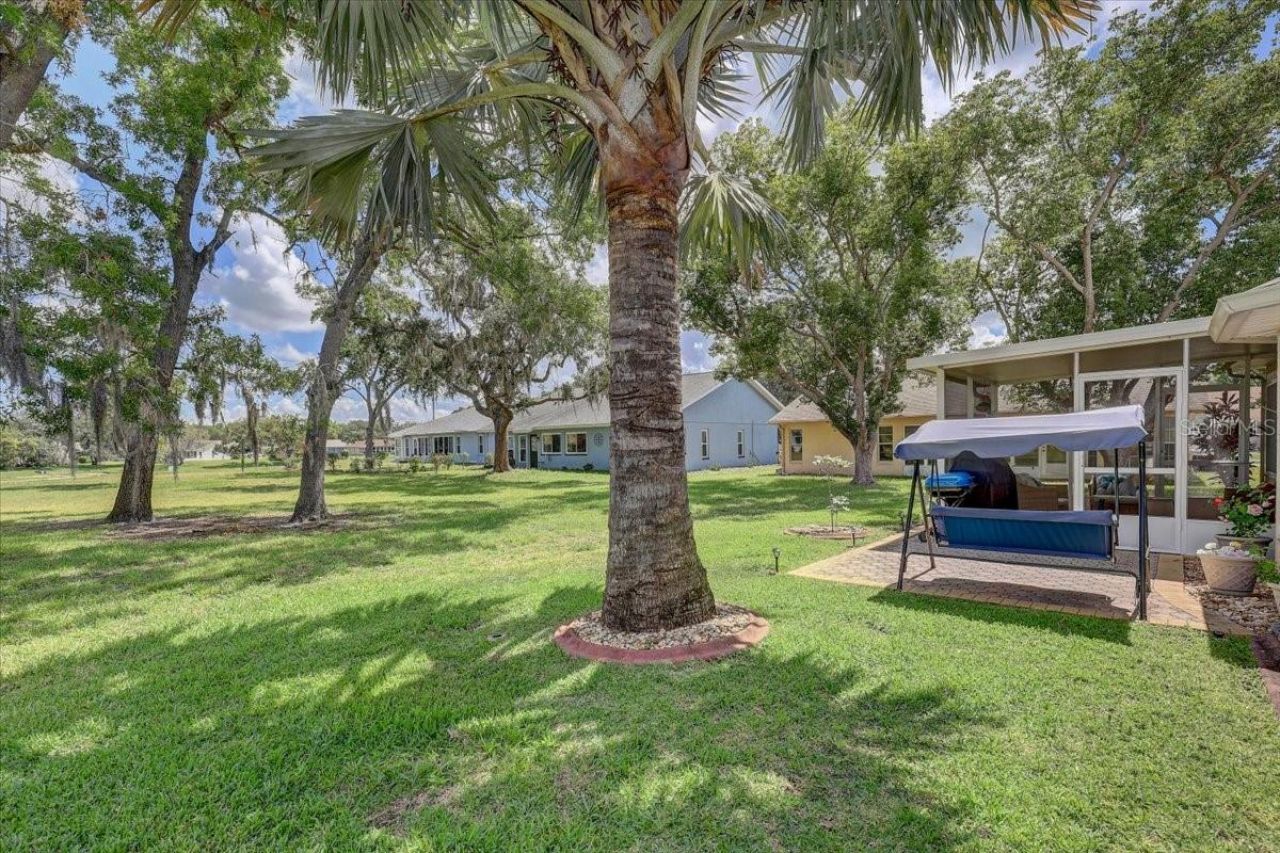 9909 Saint Joseph Court , New Port Richey, FL 34655 Photo