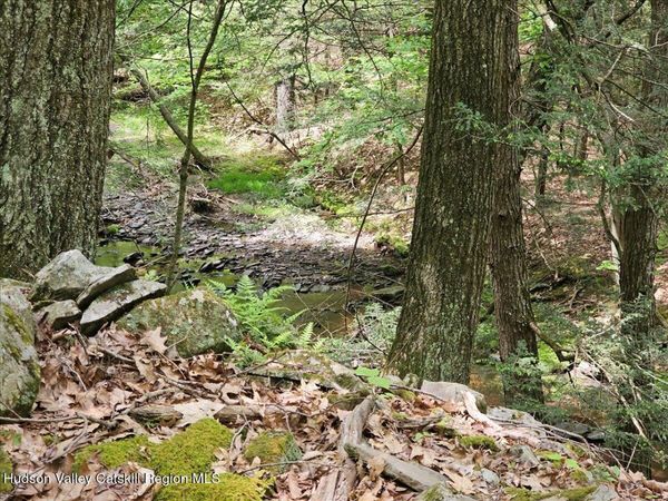 305 Maple Lawn Road, Cairo, NY 12413