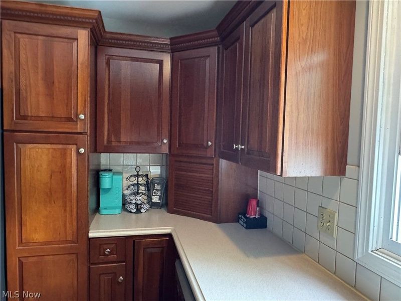 1679 Lakeview Square NE, Bolivar, OH 44612 Photo 11
