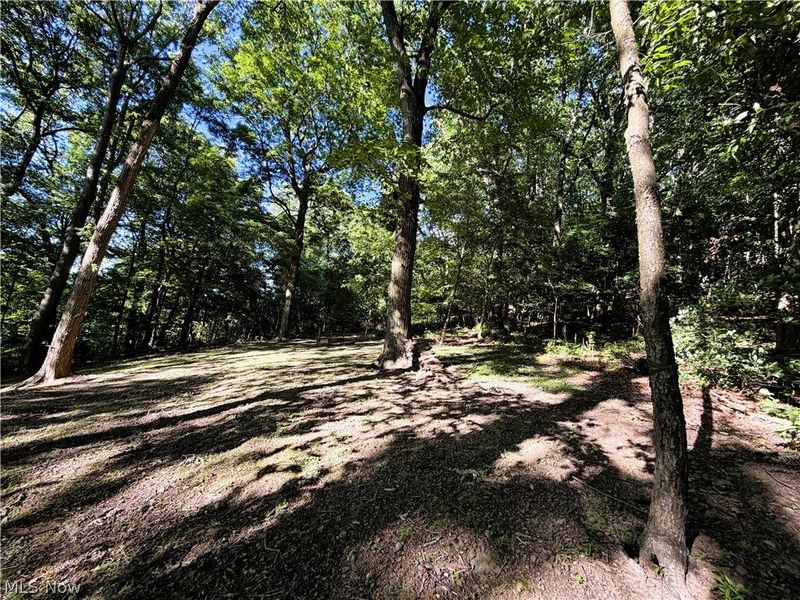 821 Lynnwood Drive, Minerva, OH 44657 Photo 4