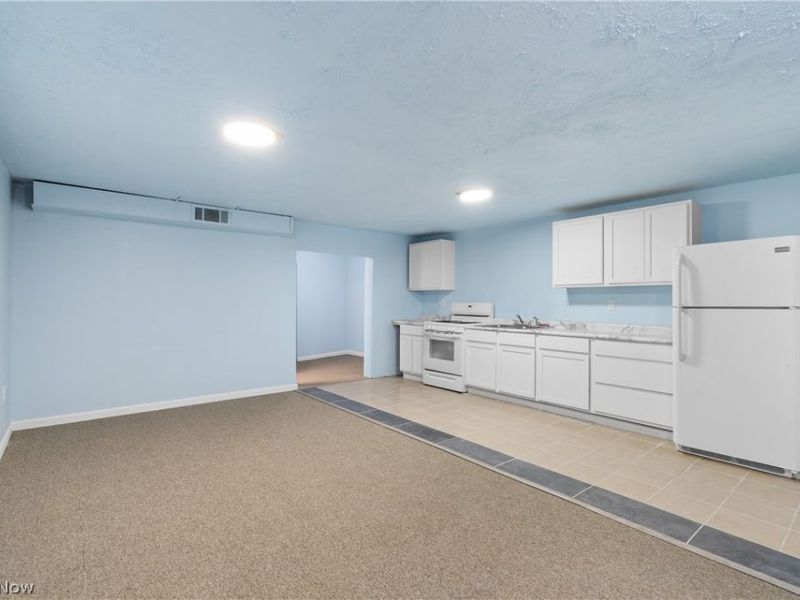 1305 Brown Street, Akron, OH 44301 Photo 12