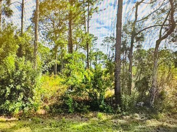 761 Burns AVE S, LEHIGH ACRES, FL 33974