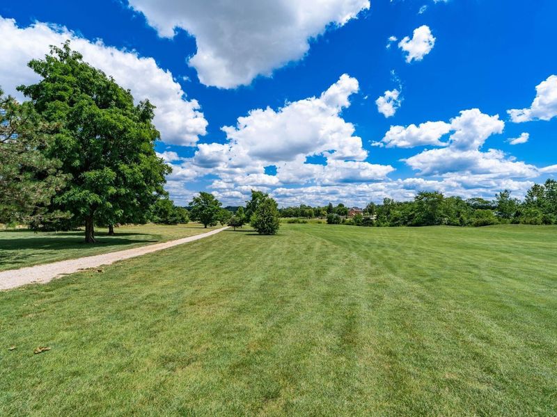 9561 Crownover Road, Williamsport, OH 43164 Photo 38