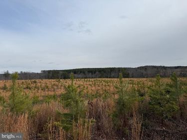 TBD COMMUNITY HOUSE RD, KENTS STORE, VA 23084
