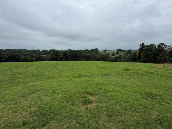 TBD Cr 440 , Berryville, AR 72616