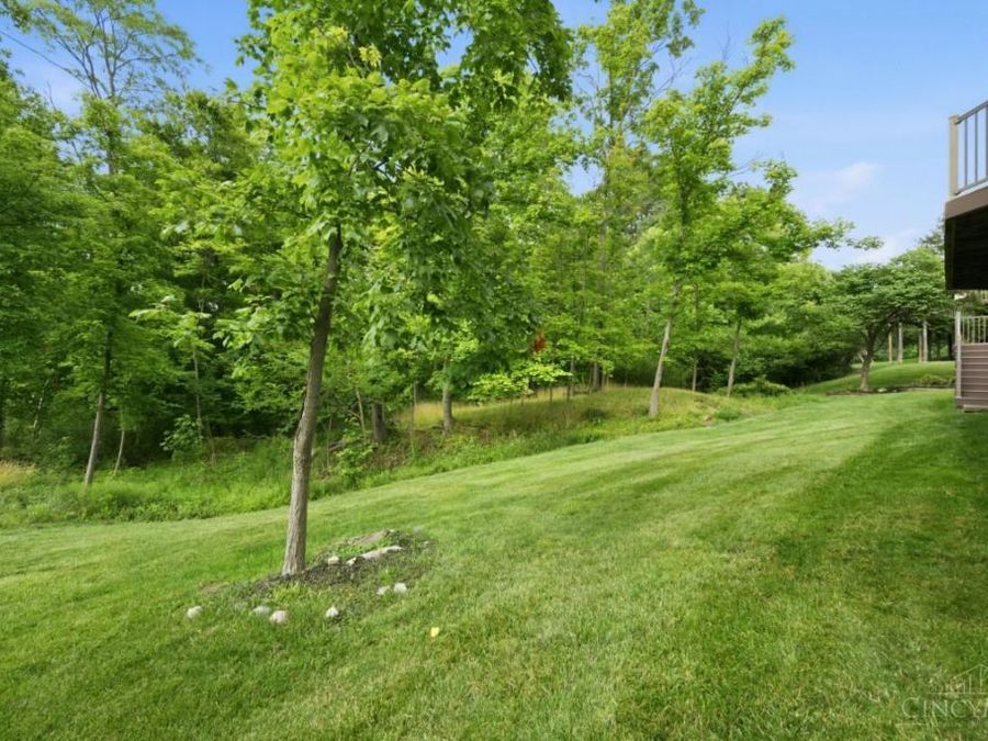 Property Image 65