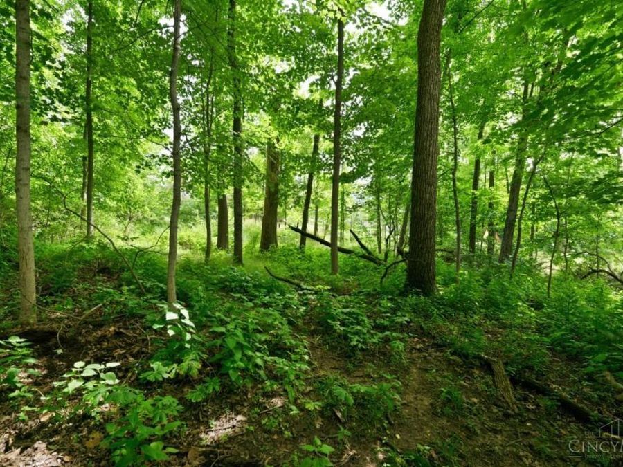 Property Image 70