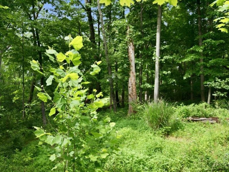 3576 Carpenters Creek Drive, Evendale, OH 45241 Photo 71