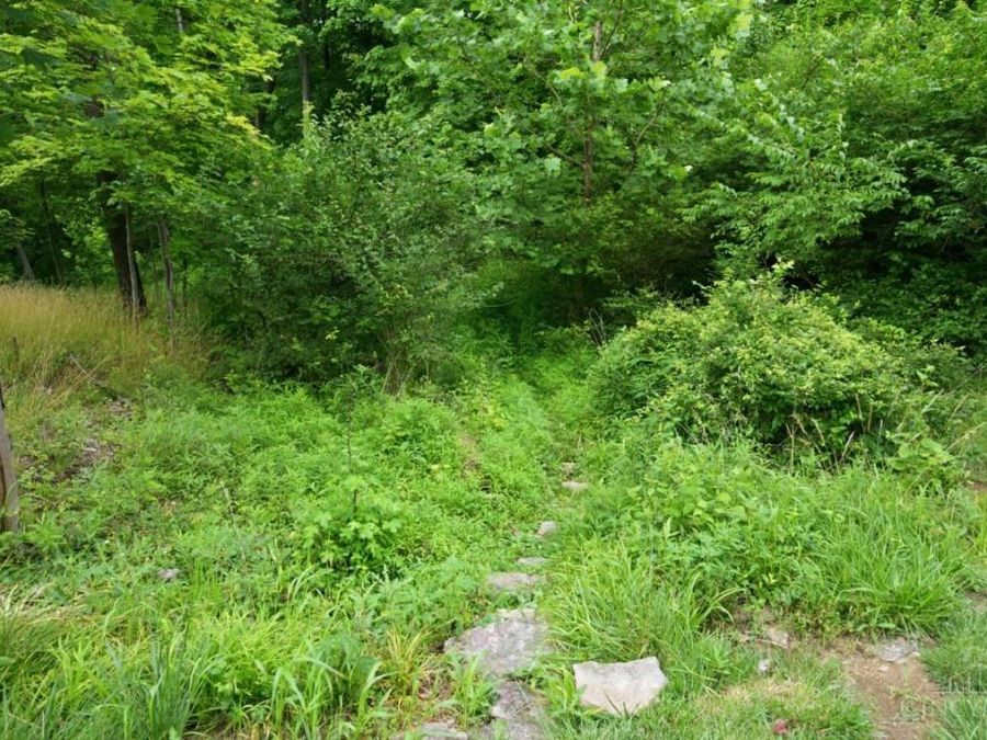 Property Image 74