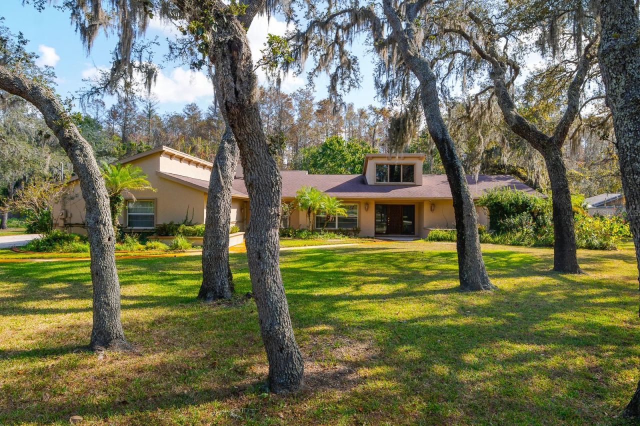 10206 Lakeview Drive , New Port Richey, FL 34654 Photo
