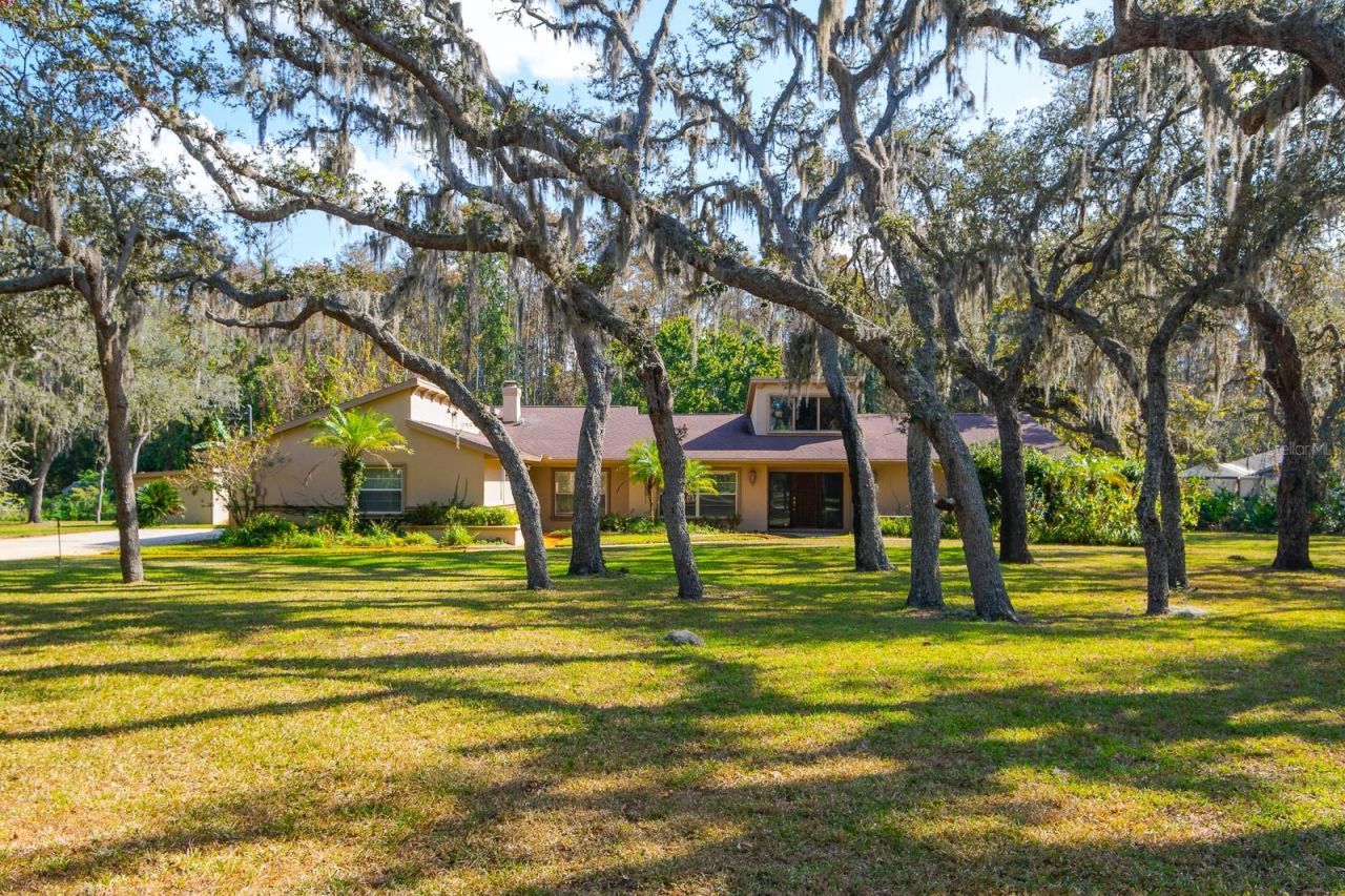10206 Lakeview Drive , New Port Richey, FL 34654 Photo