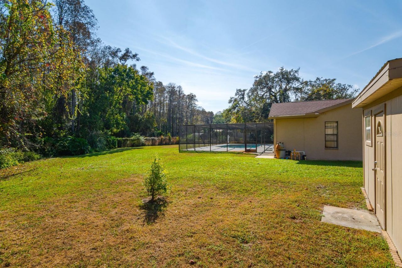 10206 Lakeview Drive , New Port Richey, FL 34654 Photo