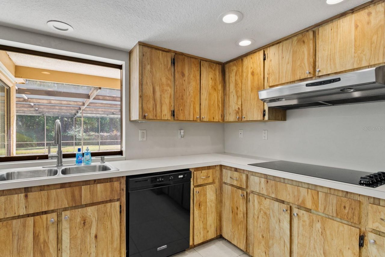 10206 Lakeview Drive , New Port Richey, FL 34654 Photo