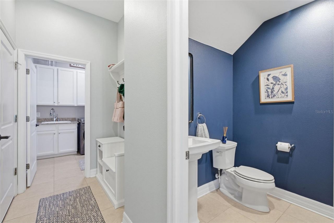 17909 Howsmoor Place, Lutz, FL 33559 Photo