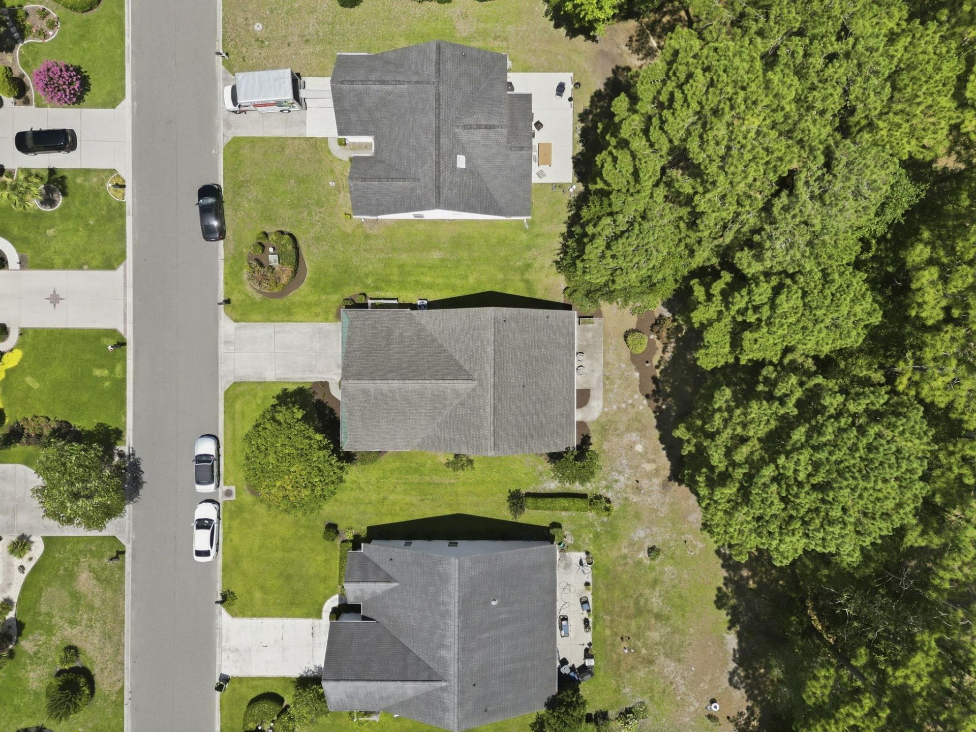 4544 Fringetree Dr. Photo 4