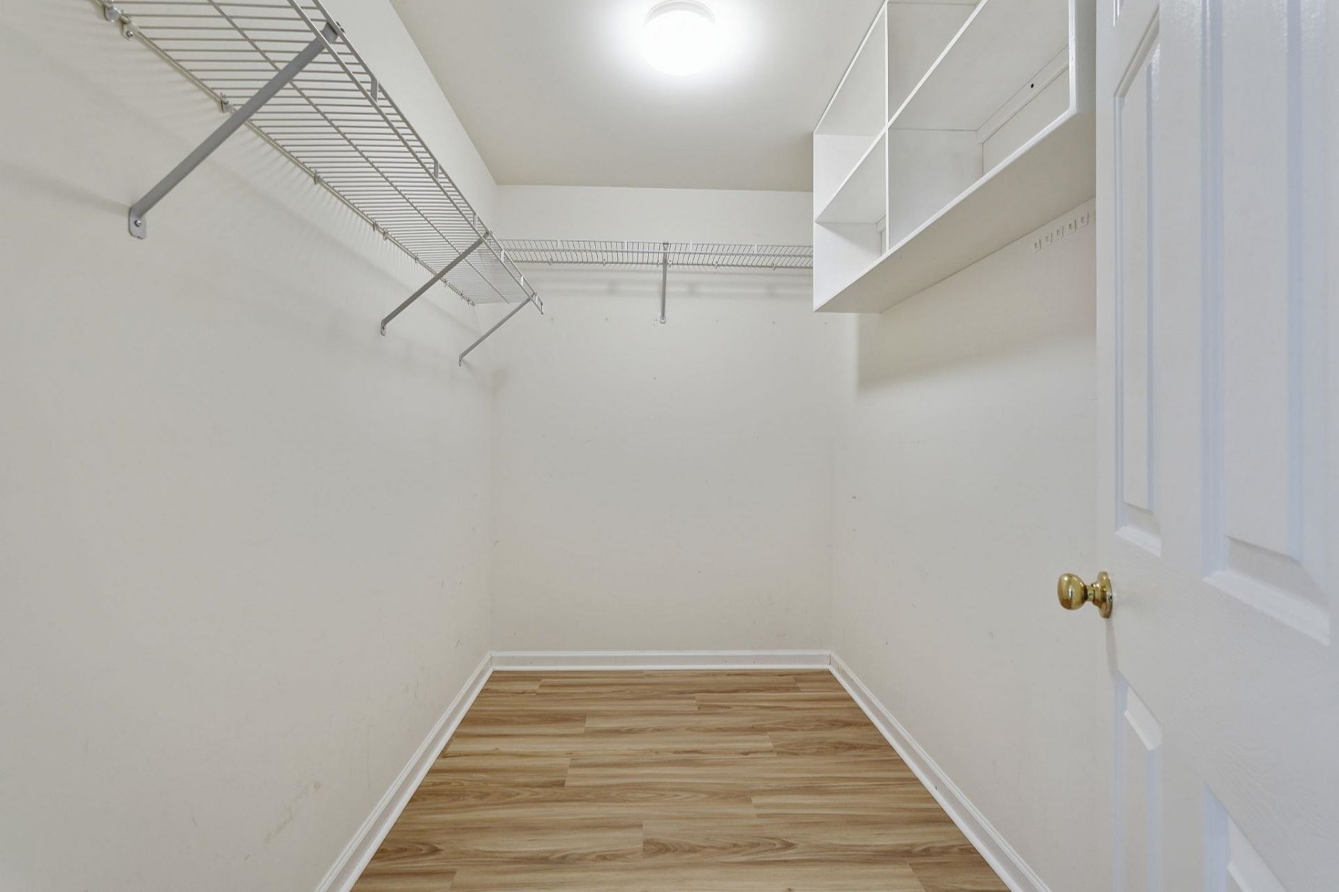 4544 Fringetree Dr. Photo 6