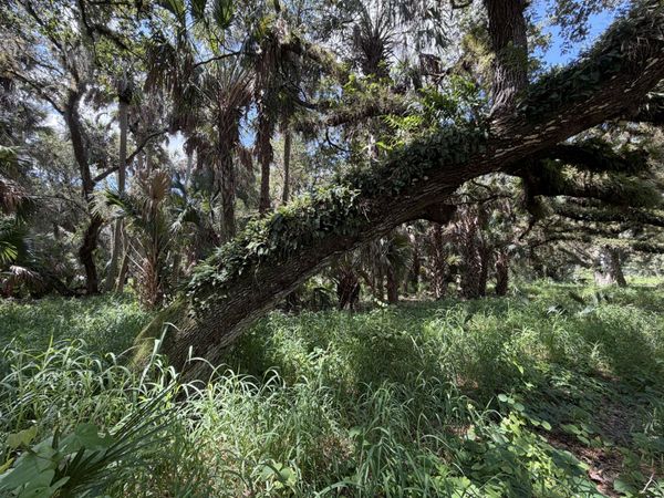 16477 NW 192nd Street, Okeechobee, FL 34972