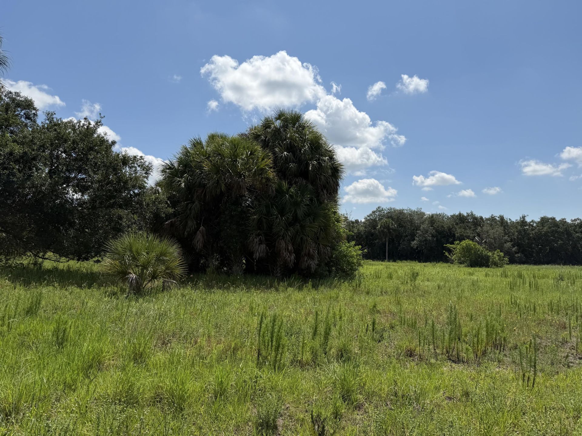 16477 NW 192nd Street, Okeechobee, FL 34972 Photo