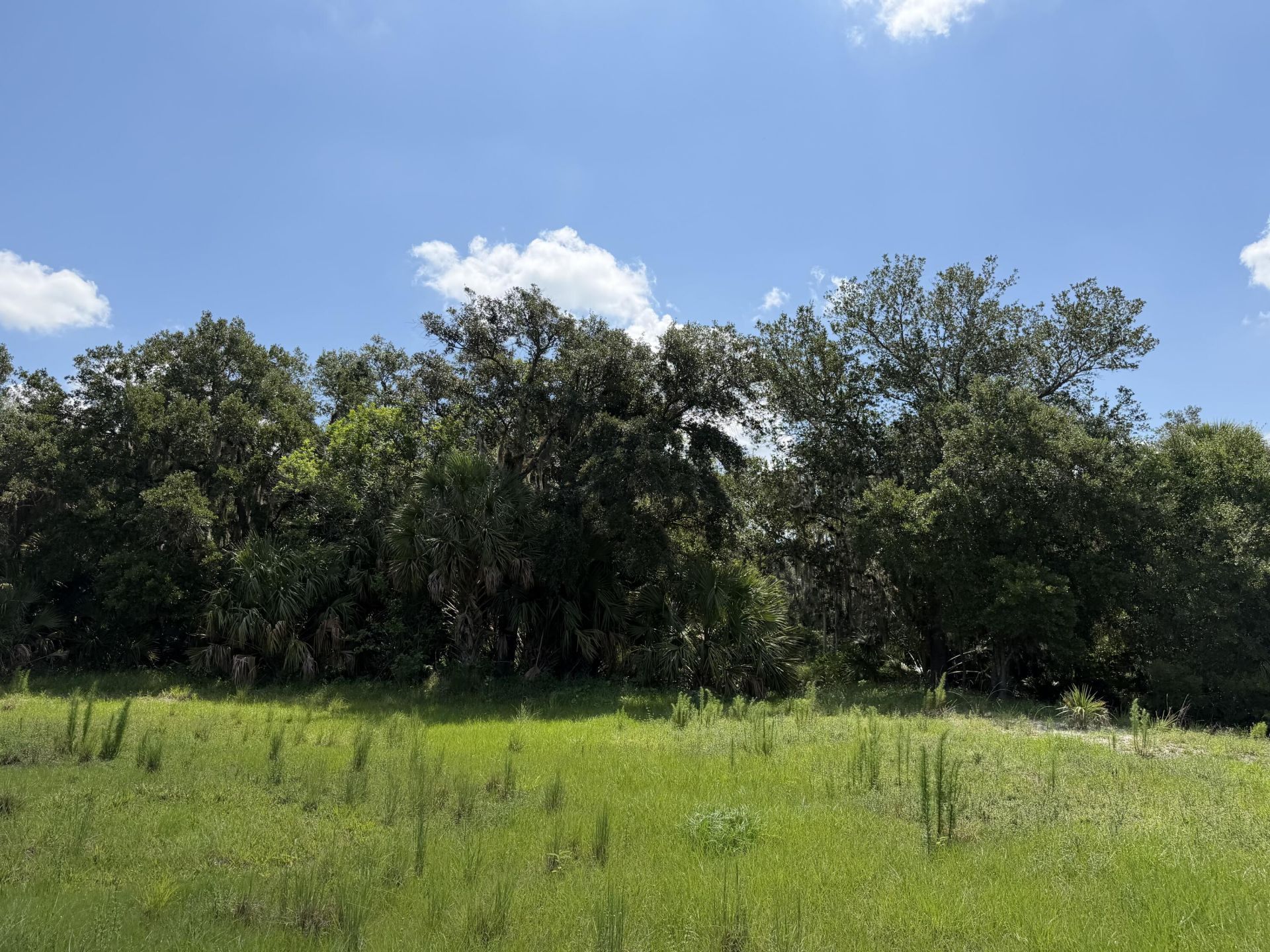 16477 NW 192nd Street, Okeechobee, FL 34972 Photo