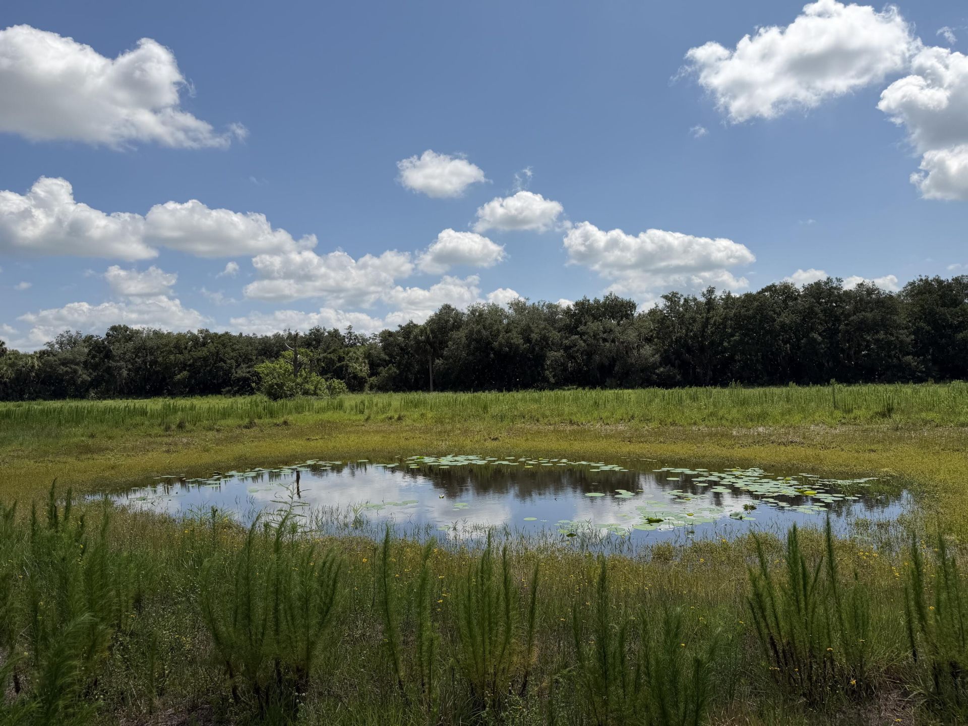 16477 NW 192nd Street, Okeechobee, FL 34972 Photo
