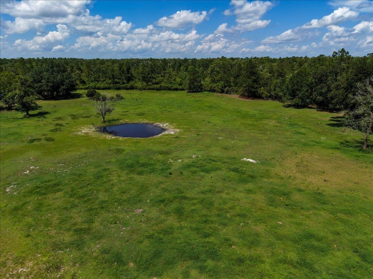 552 SW Wabasso Terrace , Greenville, FL 32331 Photo
