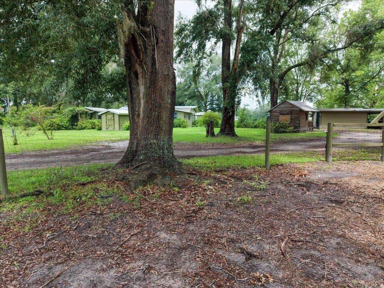 552 SW Wabasso Terrace , Greenville, FL 32331 Photo