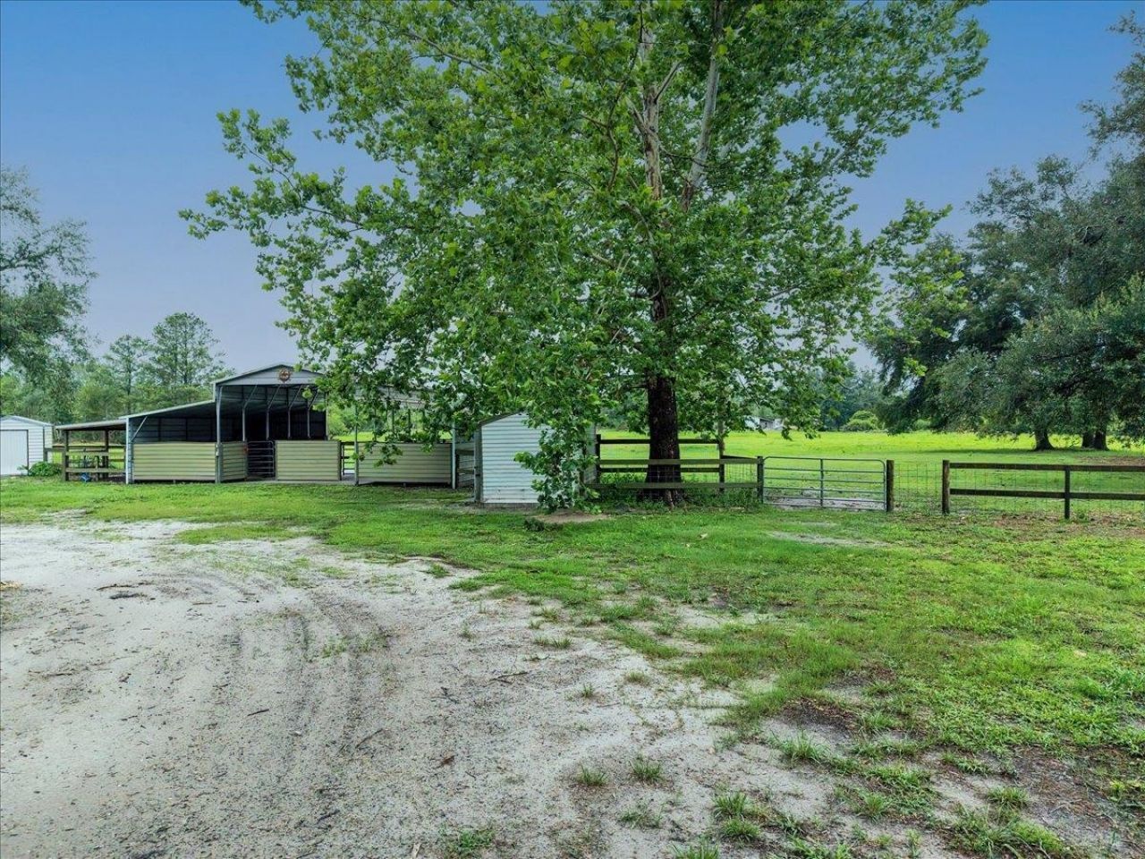 552 SW Wabasso Terrace , Greenville, FL 32331 Photo