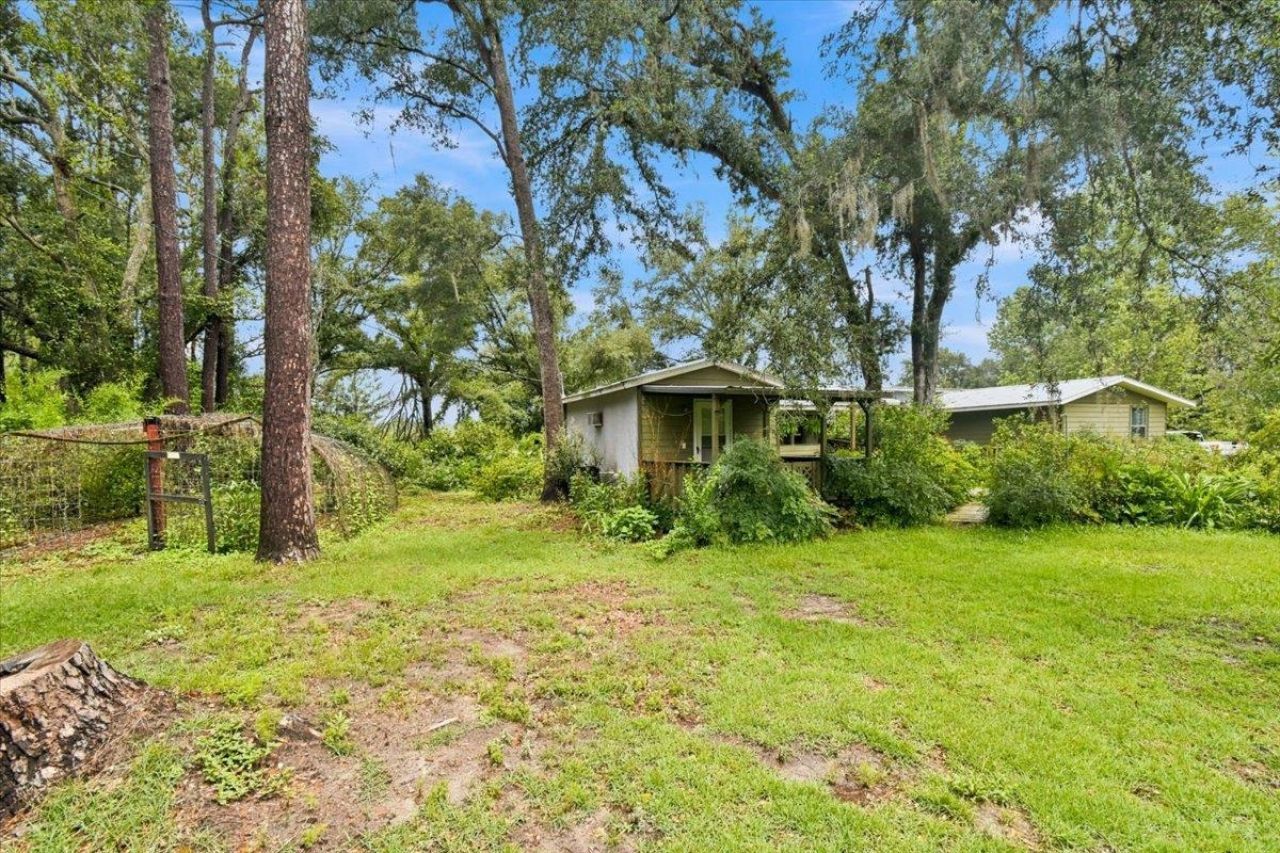 552 SW Wabasso Terrace , Greenville, FL 32331 Photo