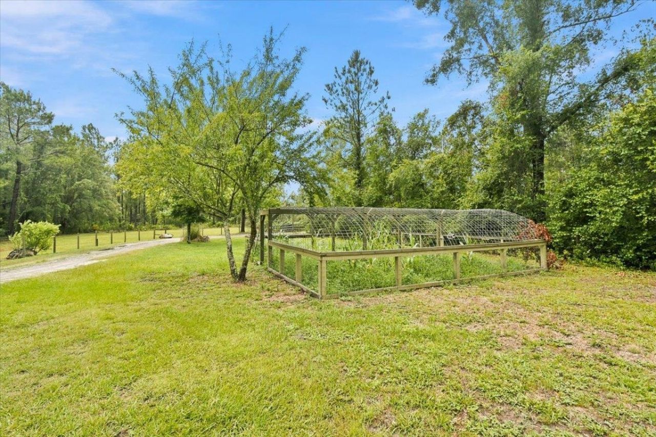 552 SW Wabasso Terrace , Greenville, FL 32331 Photo