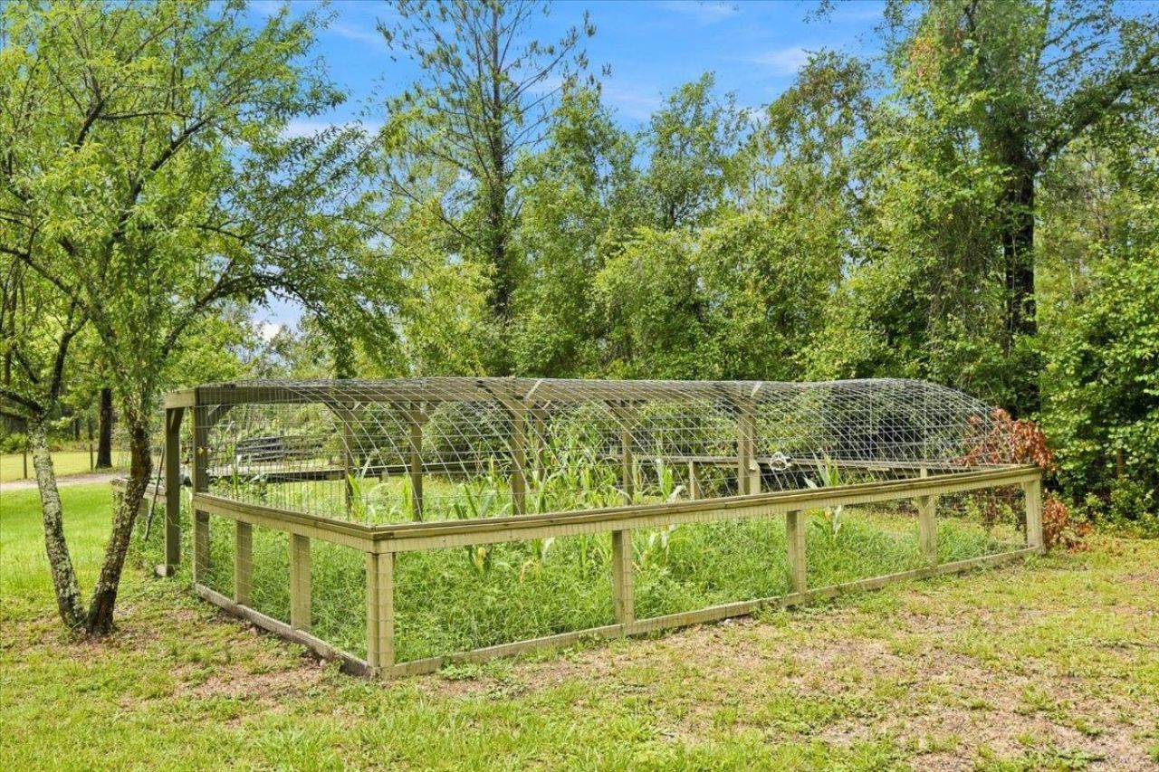 552 SW Wabasso Terrace , Greenville, FL 32331 Photo