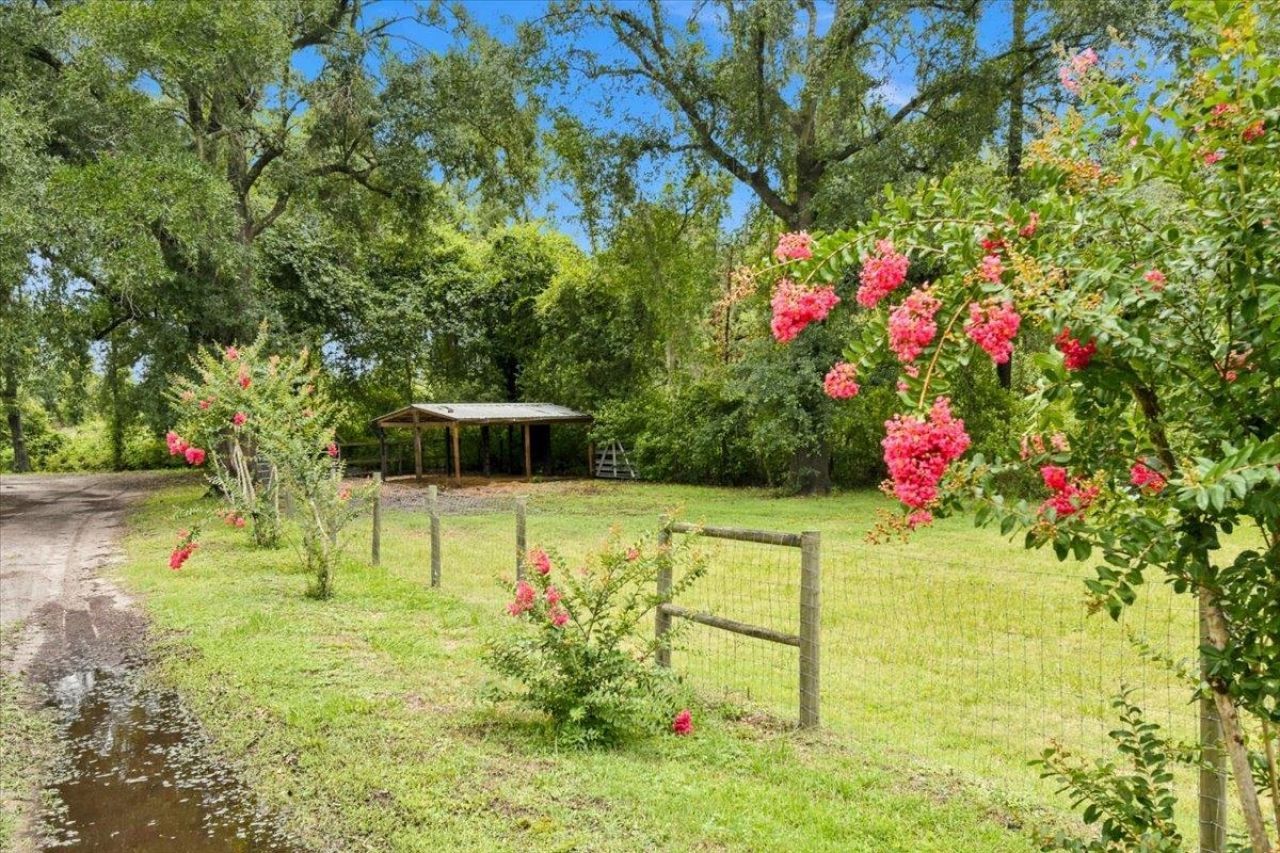 552 SW Wabasso Terrace , Greenville, FL 32331 Photo