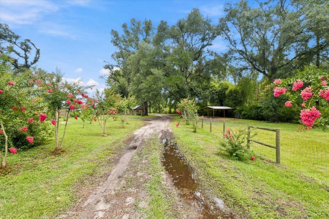 552 SW Wabasso Terrace , Greenville, FL 32331 Photo