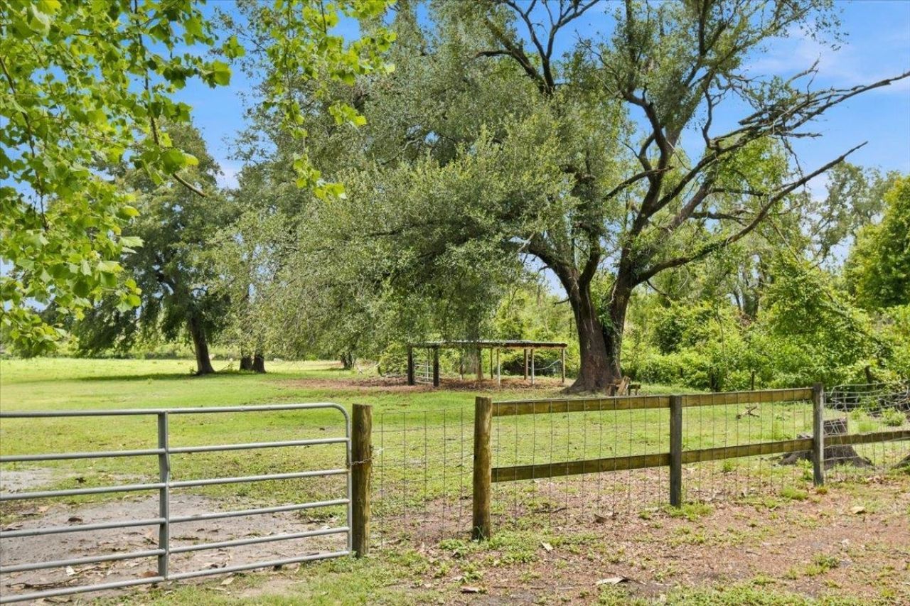 552 SW Wabasso Terrace , Greenville, FL 32331 Photo