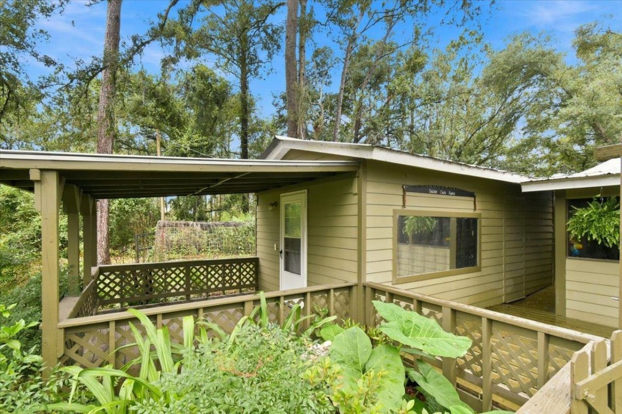 552 SW Wabasso Terrace , Greenville, FL 32331 Photo