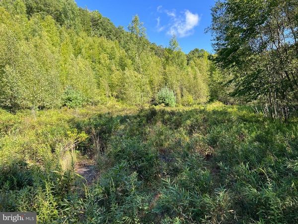 0 Lower Mountain Drive LOWER MOUNTAIN DRIVE , EFFORT, PA 18330
