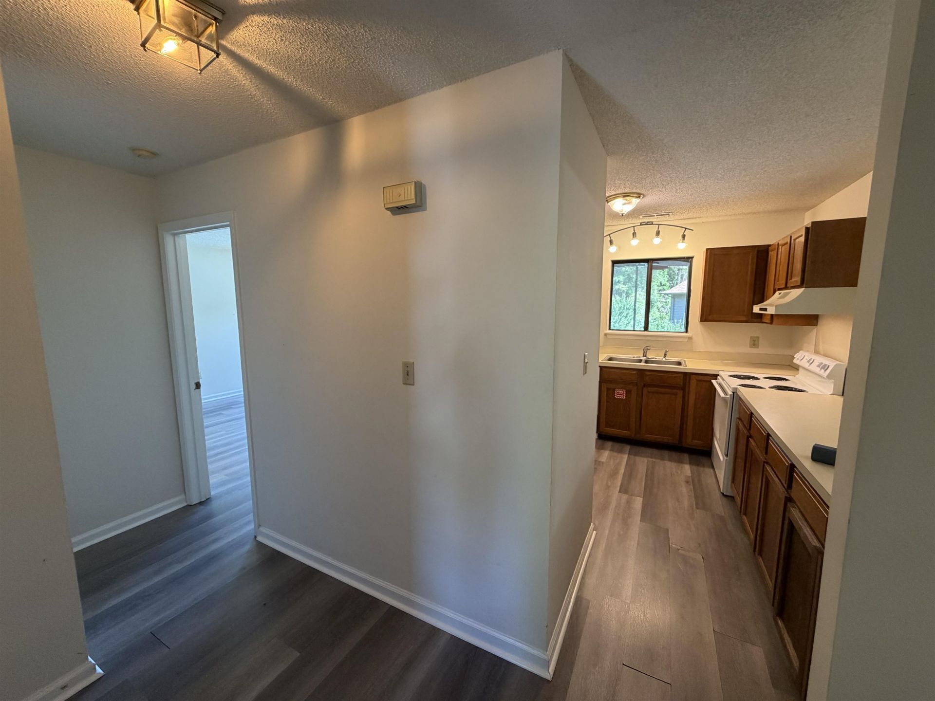 104 Indian Wells Ct. Photo 12