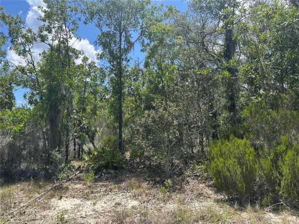 NE 101ST TERRACE , ARCHER, FL 32618