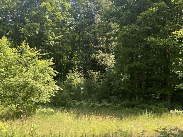 O'Dell Road, Williamsburg, MI 49690