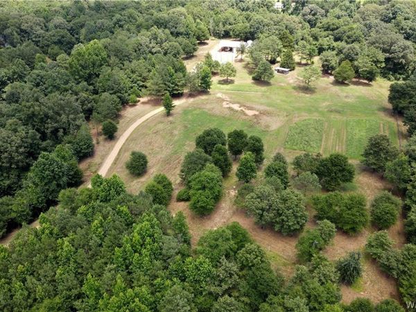 12441 Lesueur Road, Northport, AL 35475