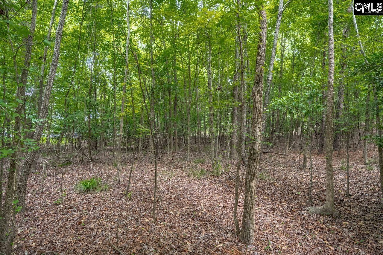 1600 Wildwood Cove Road  Photo 12