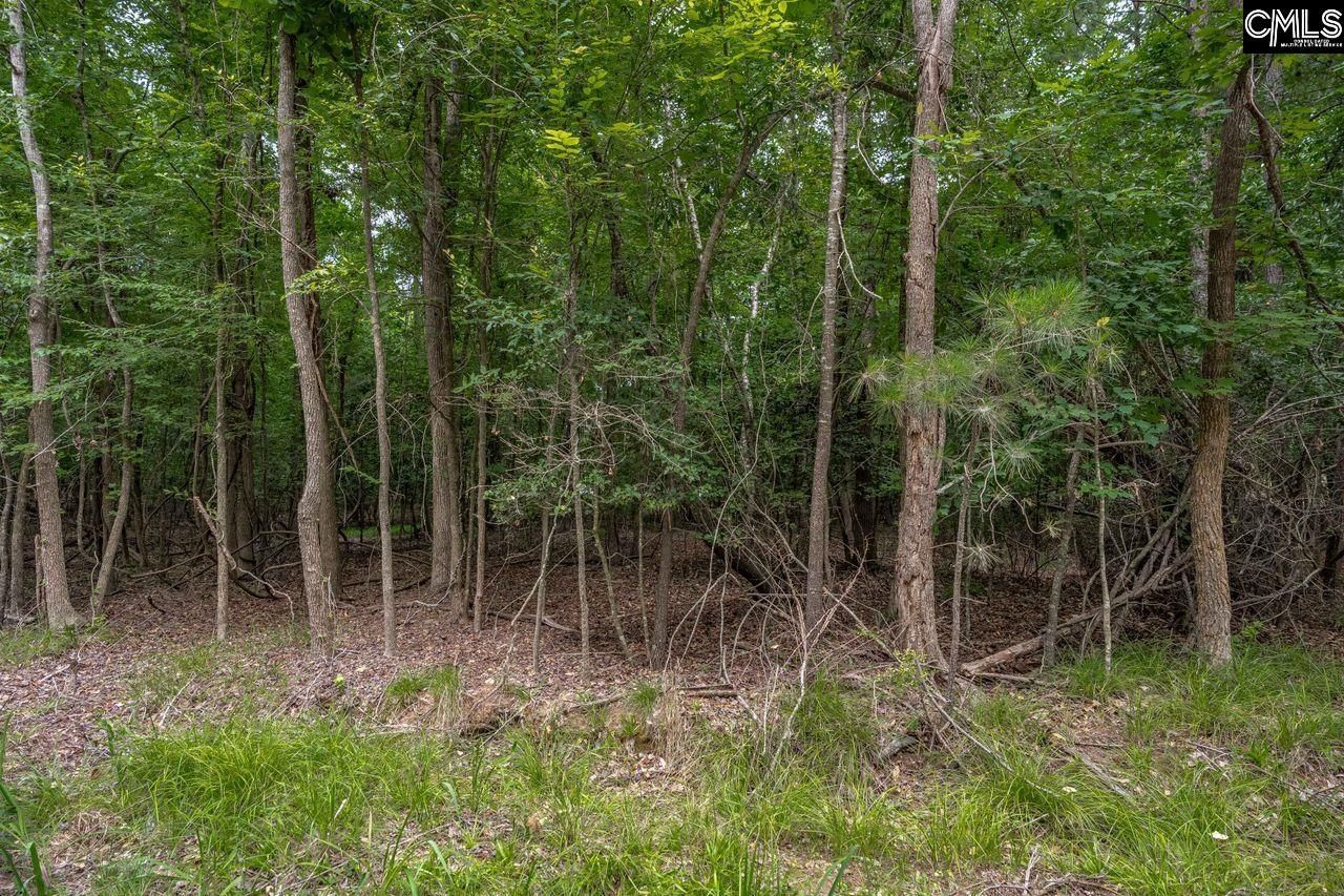 1600 Wildwood Cove Road  Photo 13