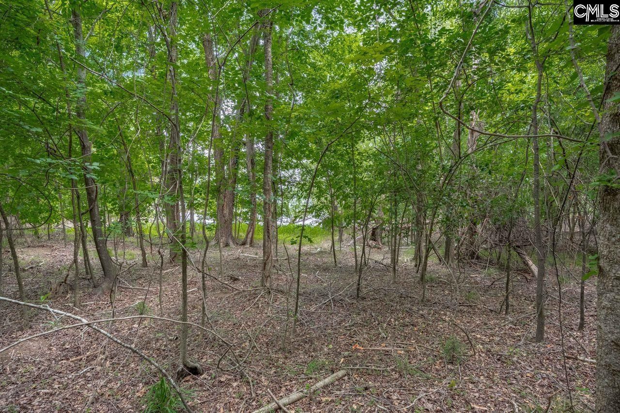 1600 Wildwood Cove Road  Photo 14