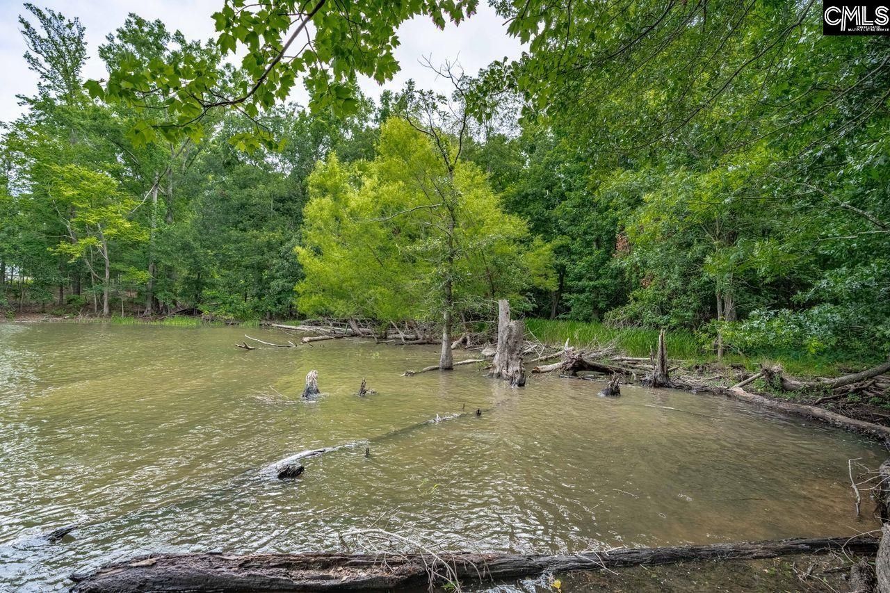 1600 Wildwood Cove Road  Photo 15