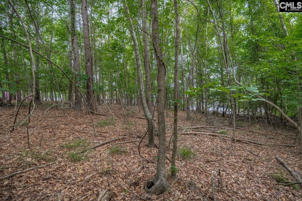 1600 Wildwood Cove Road  Photo 17