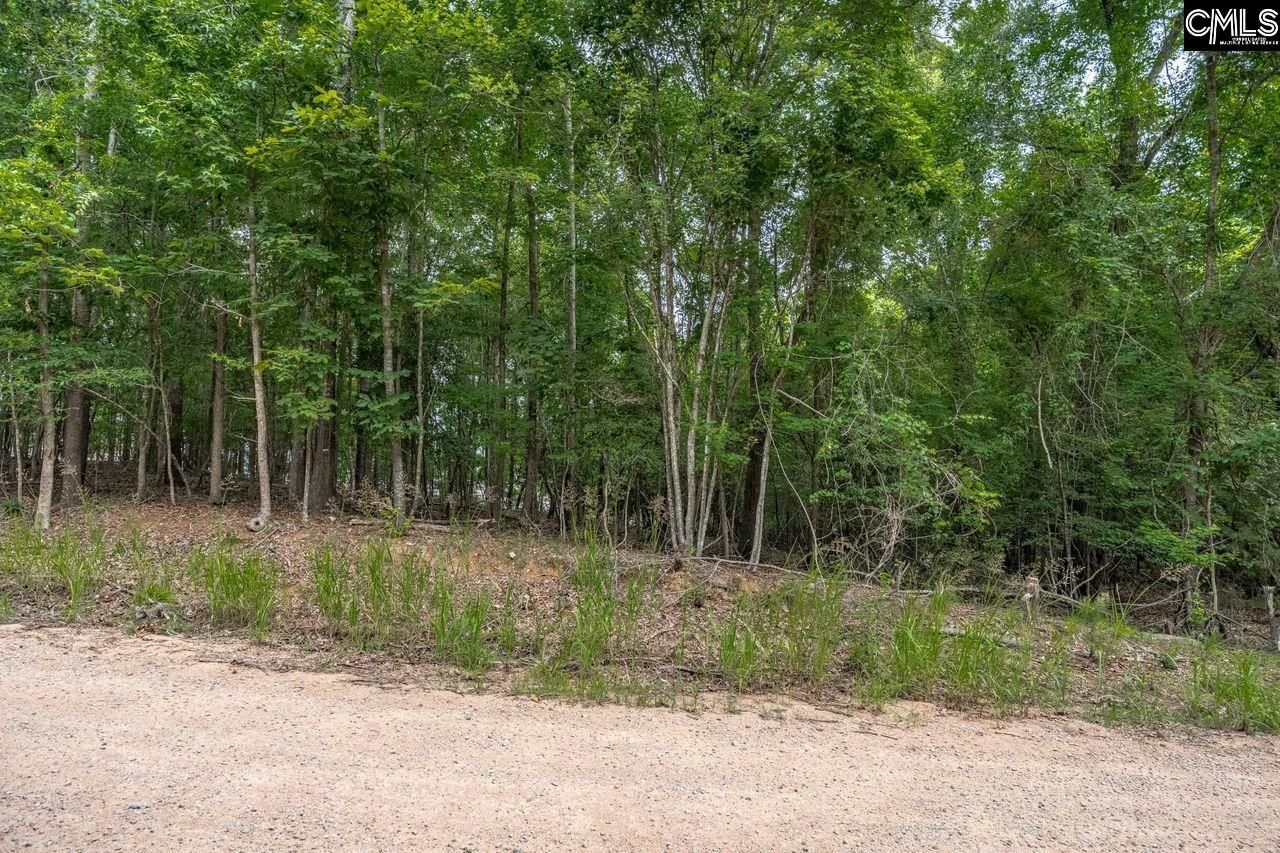 1600 Wildwood Cove Road  Photo 18
